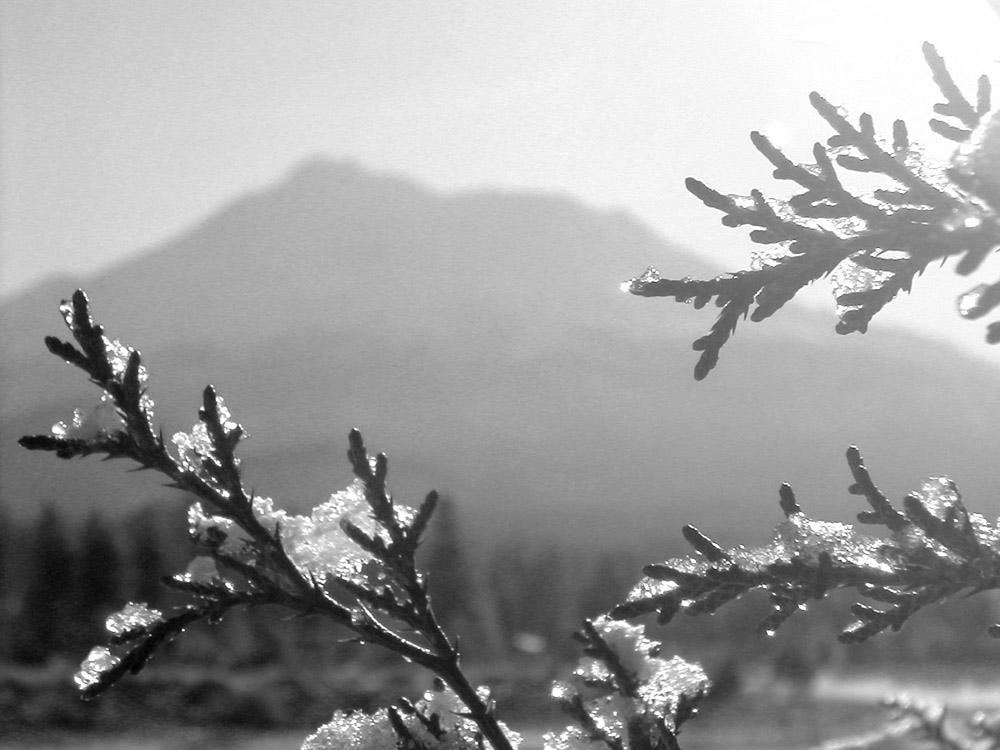 Photography by jrhrsr for DesignCrowd (Community Contests) | Design #9022995