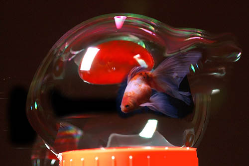 Photoshop Design by krishhi for DesignCrowd (Community Contests) | Design #9025356