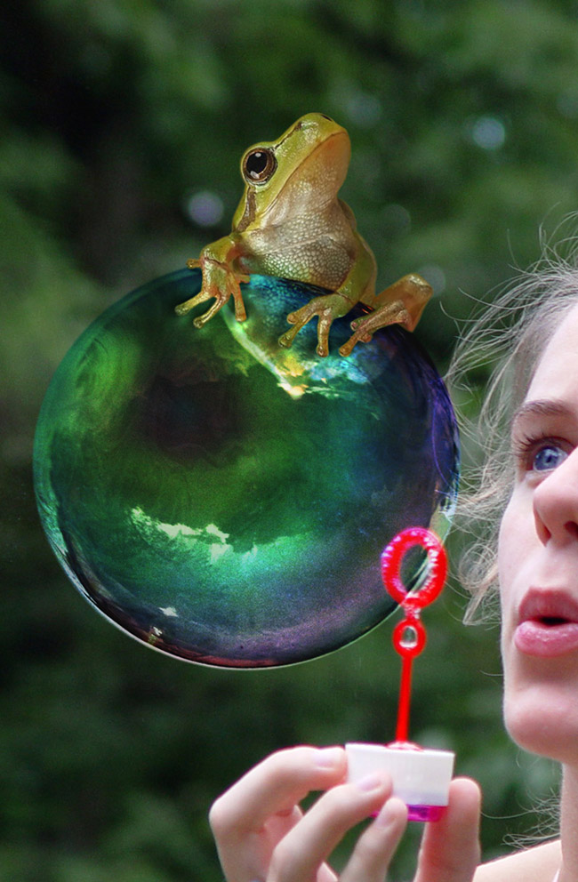 Diseño de Photoshop por renatodornas para DesignCrowd (Community Contests) | Diseño #9025377