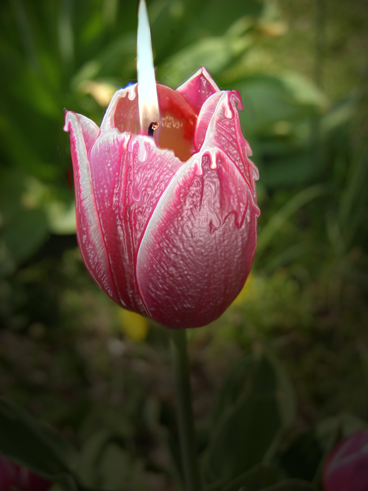 Photoshop Design by angel2bheard for DesignCrowd (Community Contests) | Design #9024188