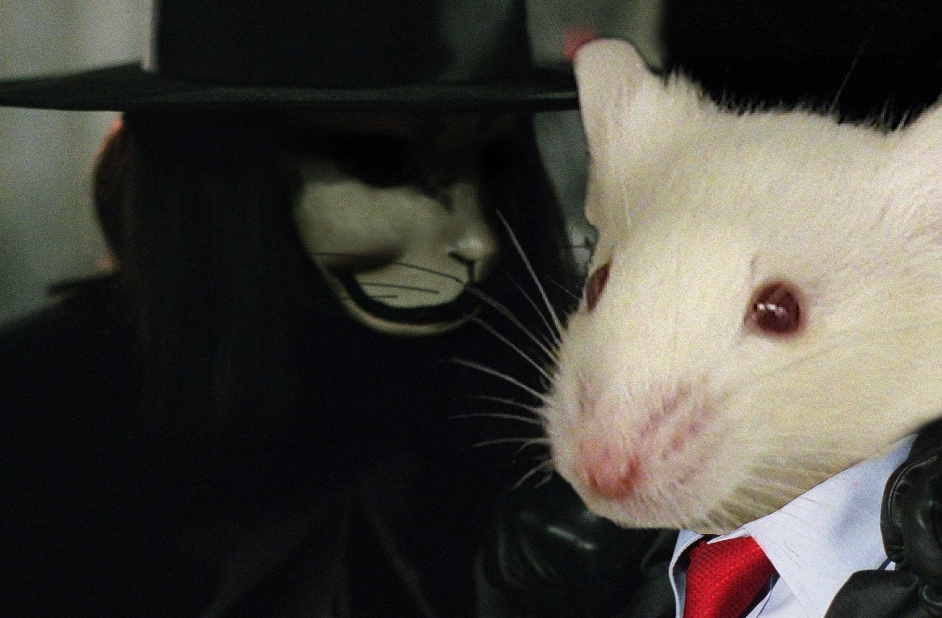 Design Photoshop par reneehiggs pour DesignCrowd (Community Contests) | Design #9023370