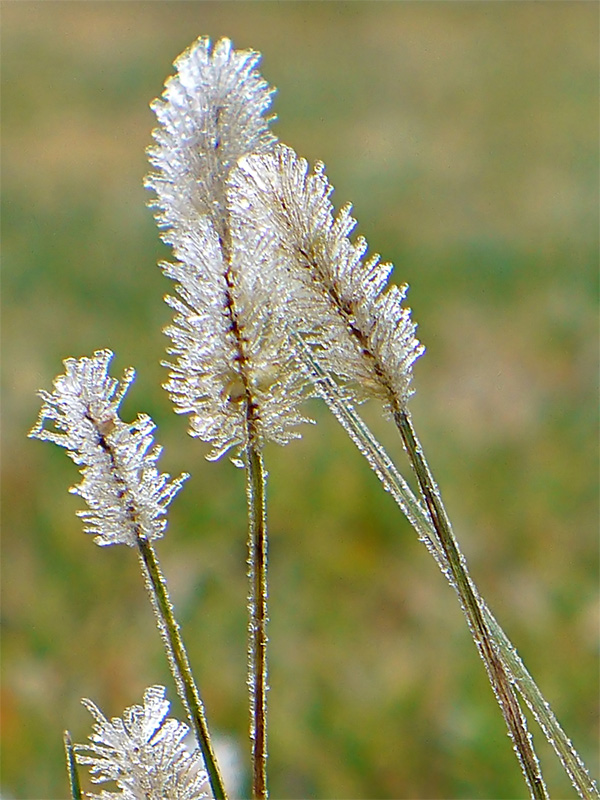 Fotografie von IsleofJura für DesignCrowd (Community Contests) | Design #9023003