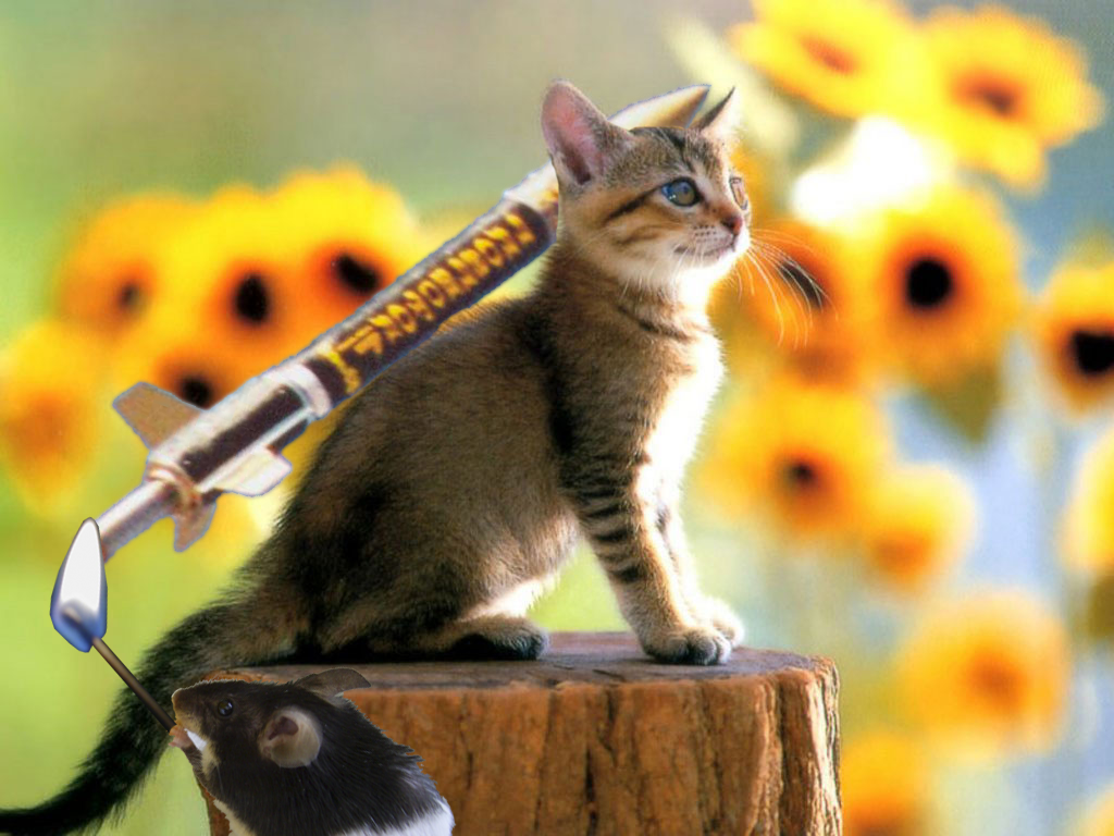 Diseño de Photoshop por klemci para DesignCrowd (Community Contests) | Diseño #9023387