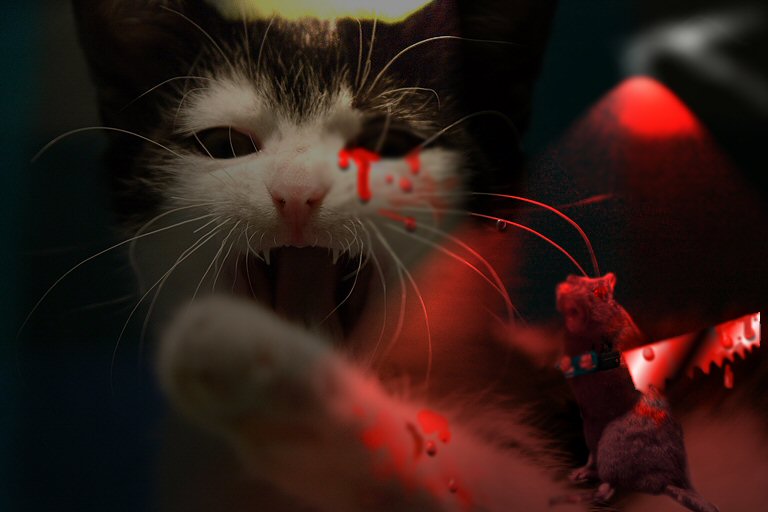 Diseño de Photoshop por ivsonwild para DesignCrowd (Community Contests) | Diseño #9023441