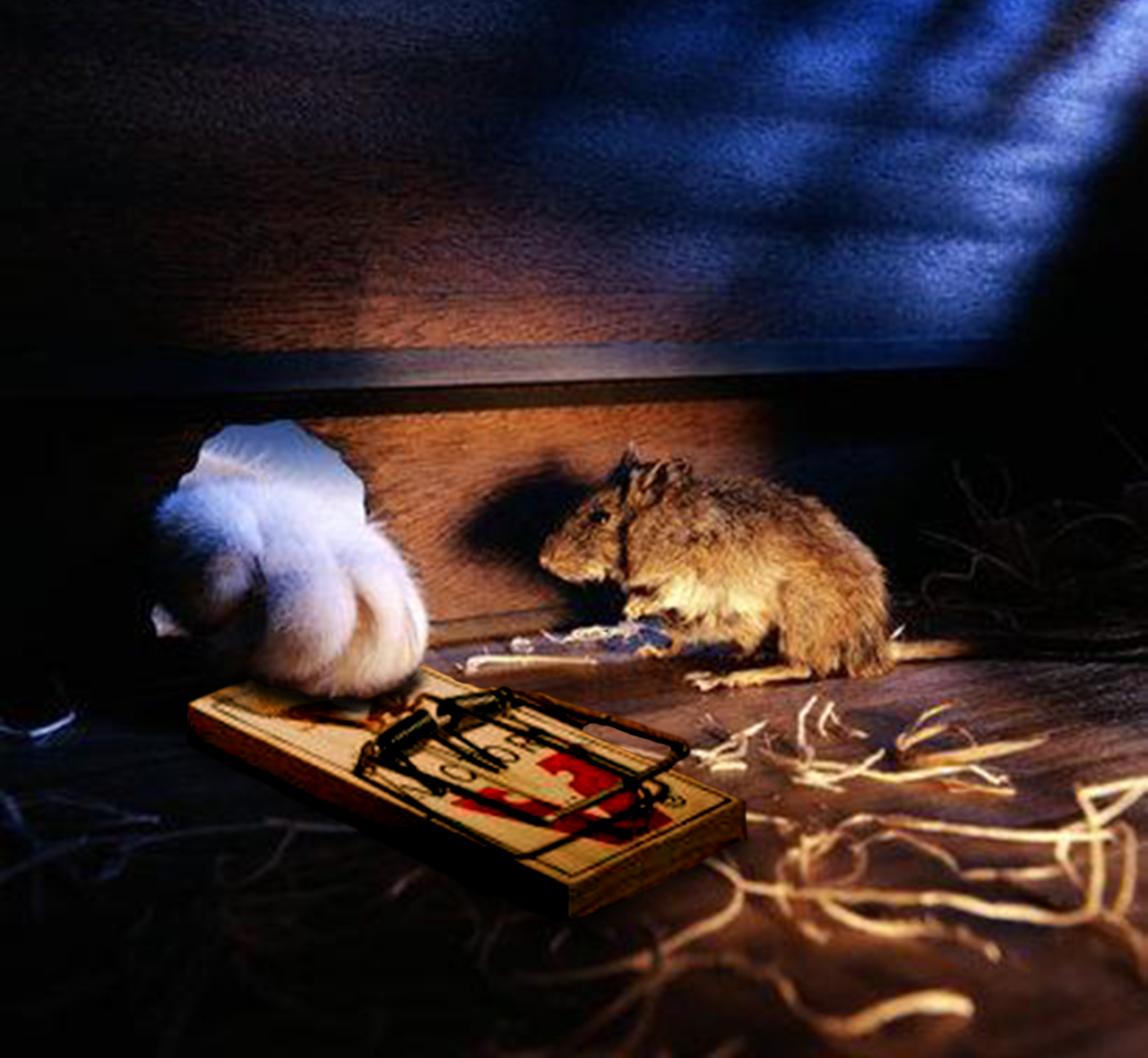 Photoshop Design by RachelB for DesignCrowd (Community Contests) | Design #9023430