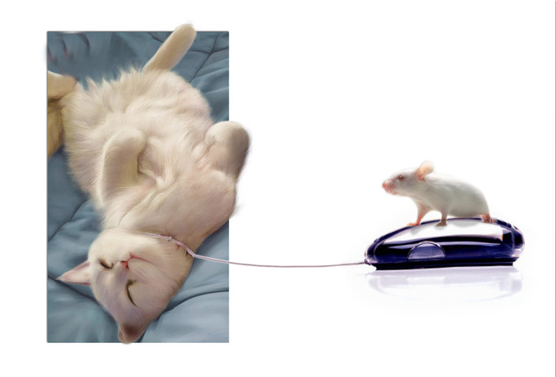 Photoshop Design by katsushiro for DesignCrowd (Community Contests) | Design #9023434