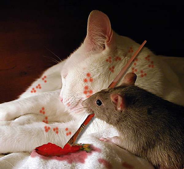 Diseño de Photoshop por EyEars para DesignCrowd (Community Contests) | Diseño #9023501