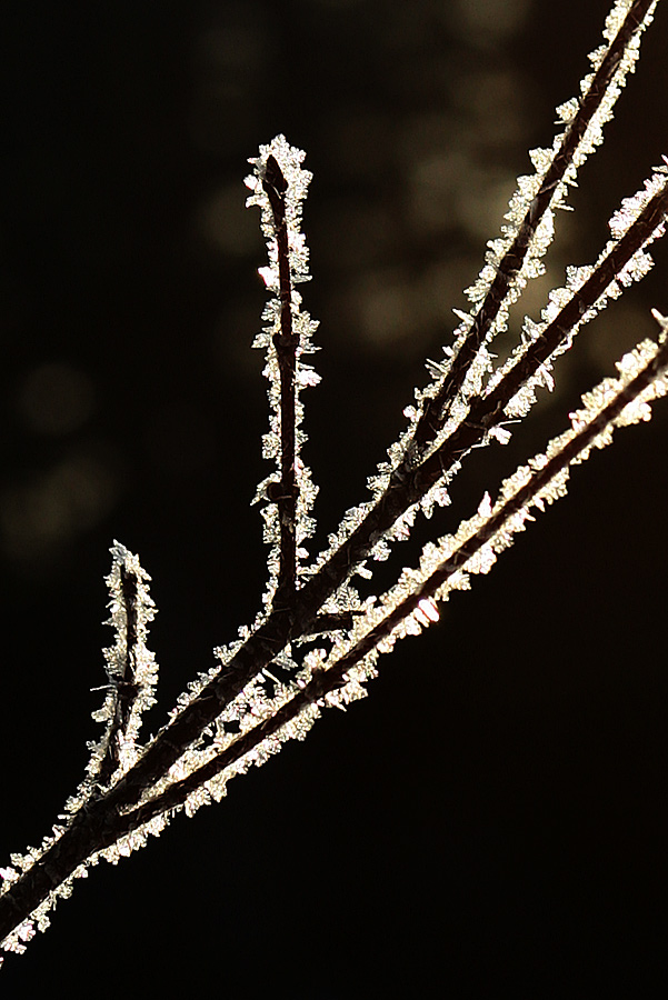 Fotografie von SigloV für DesignCrowd (Community Contests) | Design #9023027