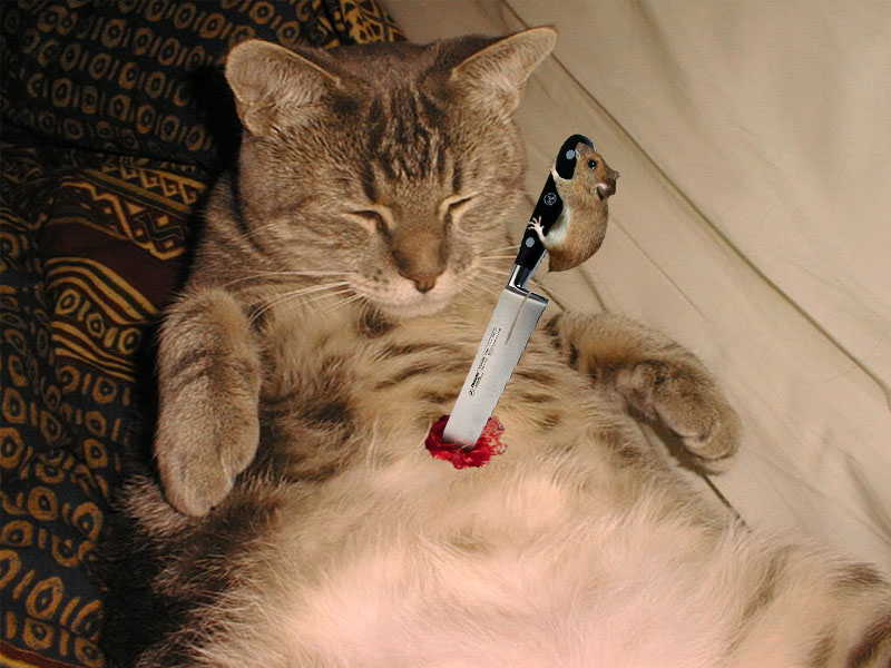 Design Photoshop par WiseMonkey pour DesignCrowd (Community Contests) | Design #9023534