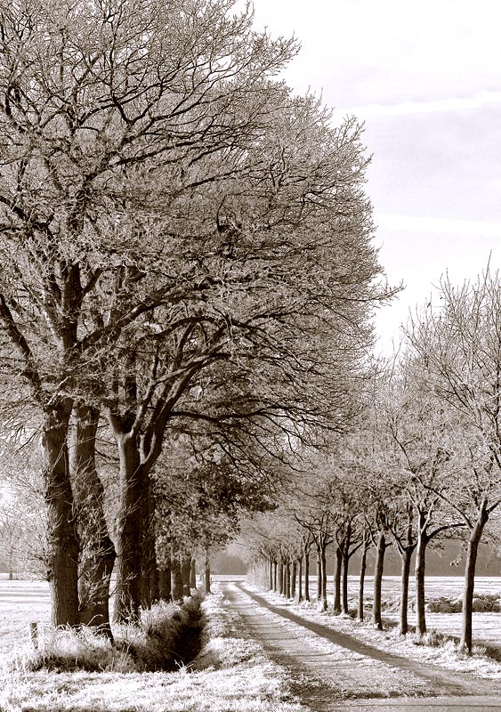 Photography by Marian for DesignCrowd (Community Contests) | Design #9023043