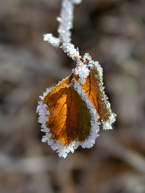 Photography by LABRIP for DesignCrowd (Community Contests) | Design #9023074