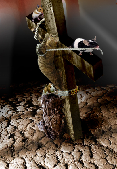 Photoshop Design by paraloid for DesignCrowd (Community Contests) | Design #9023539