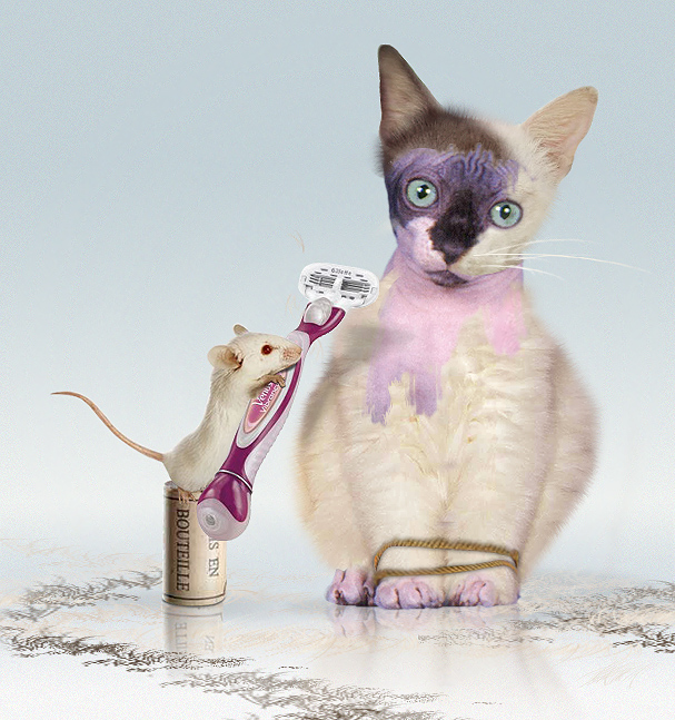 Photoshop Design by 123lezy for DesignCrowd (Community Contests) | Design #9023489