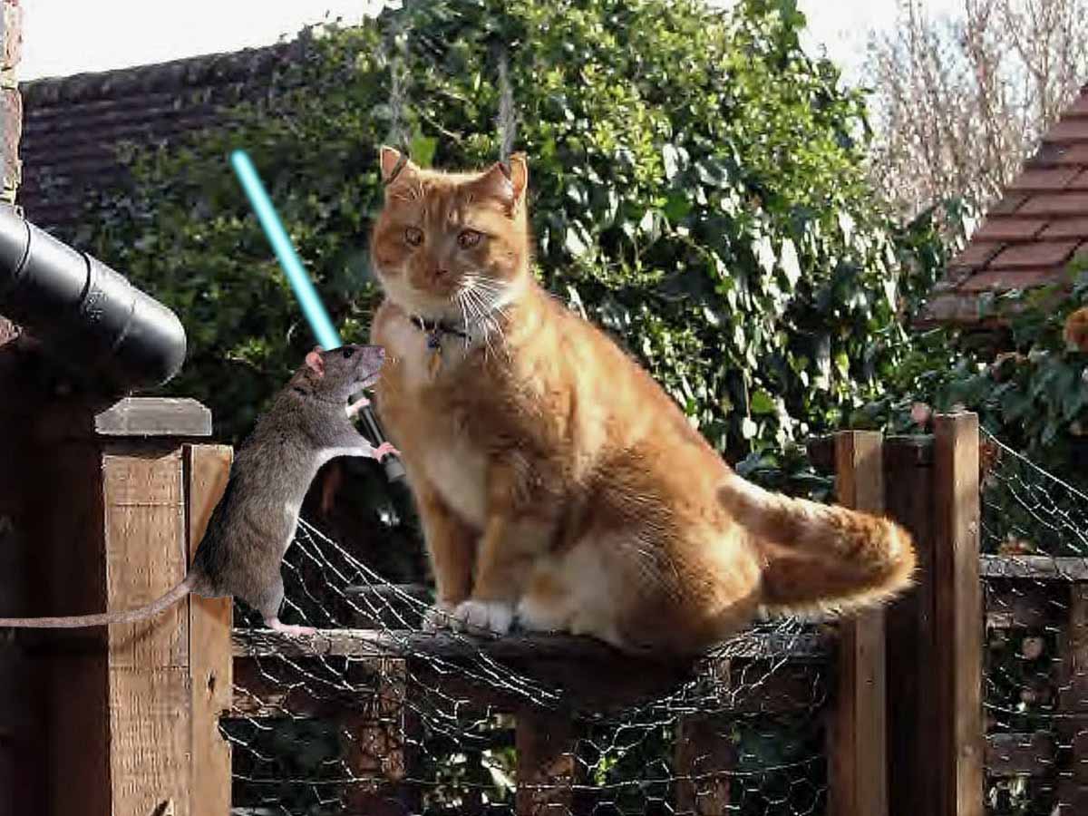 Photoshop Design by brypro63 for DesignCrowd (Community Contests) | Design #9023476