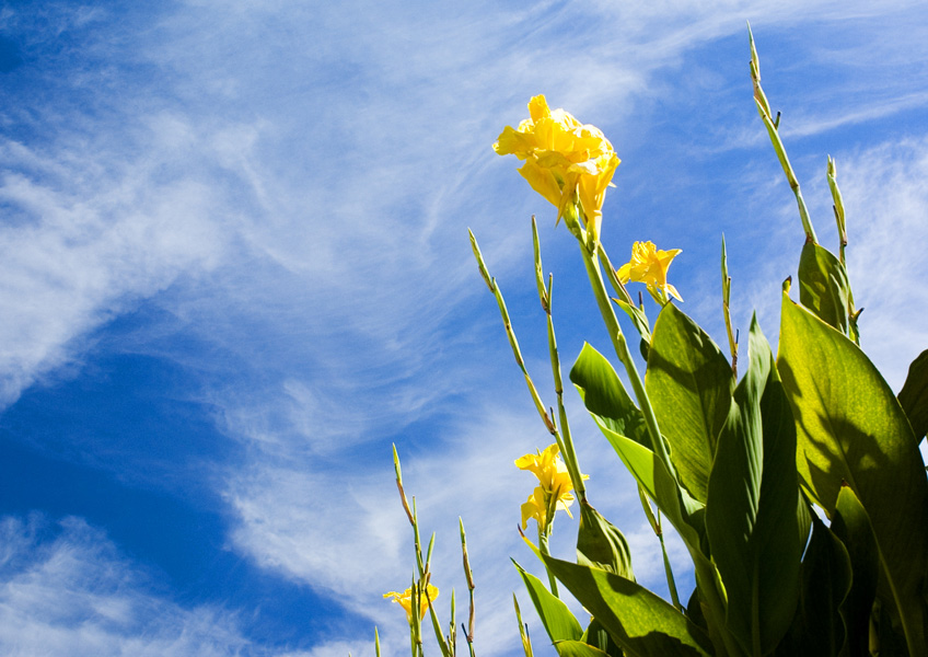 Fotografie von burns529 für DesignCrowd (Community Contests) | Design #9024623