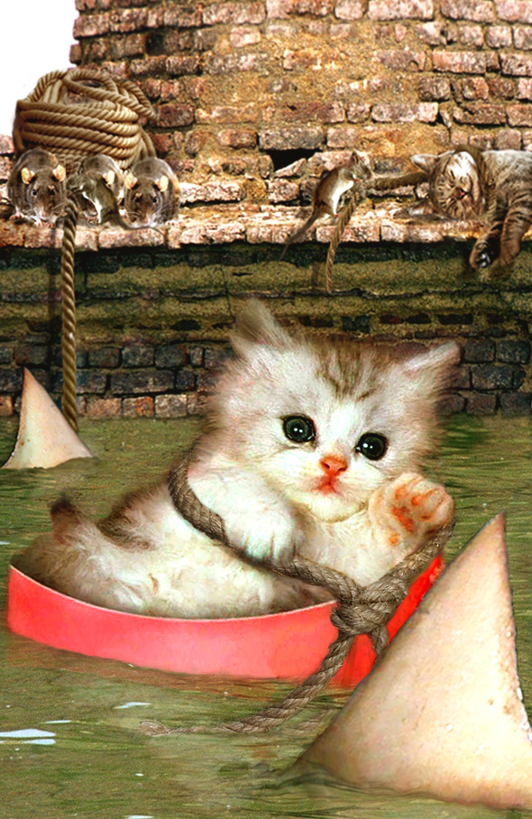 Diseño de Photoshop por Koosricardo para DesignCrowd (Community Contests) | Diseño #9023497