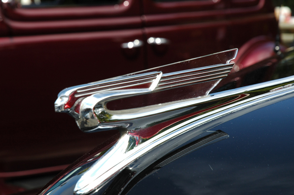 Photography by Larvice for DesignCrowd (Community Contests) | Design #9024630