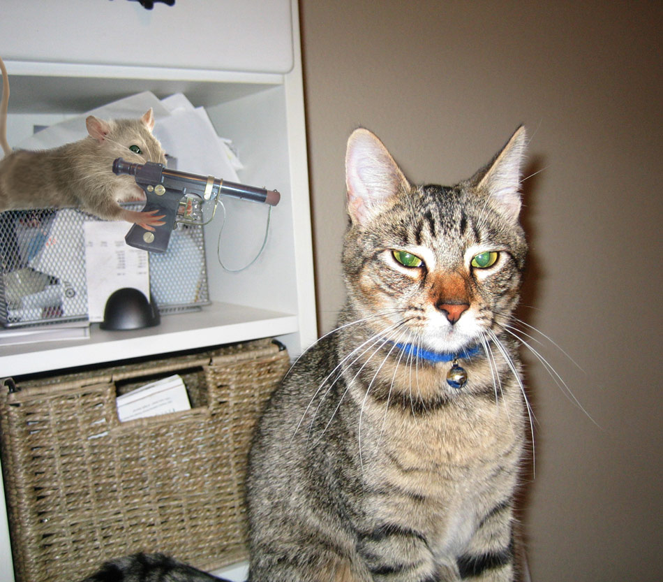 Photoshop Design by cridley for DesignCrowd (Community Contests) | Design #9023527