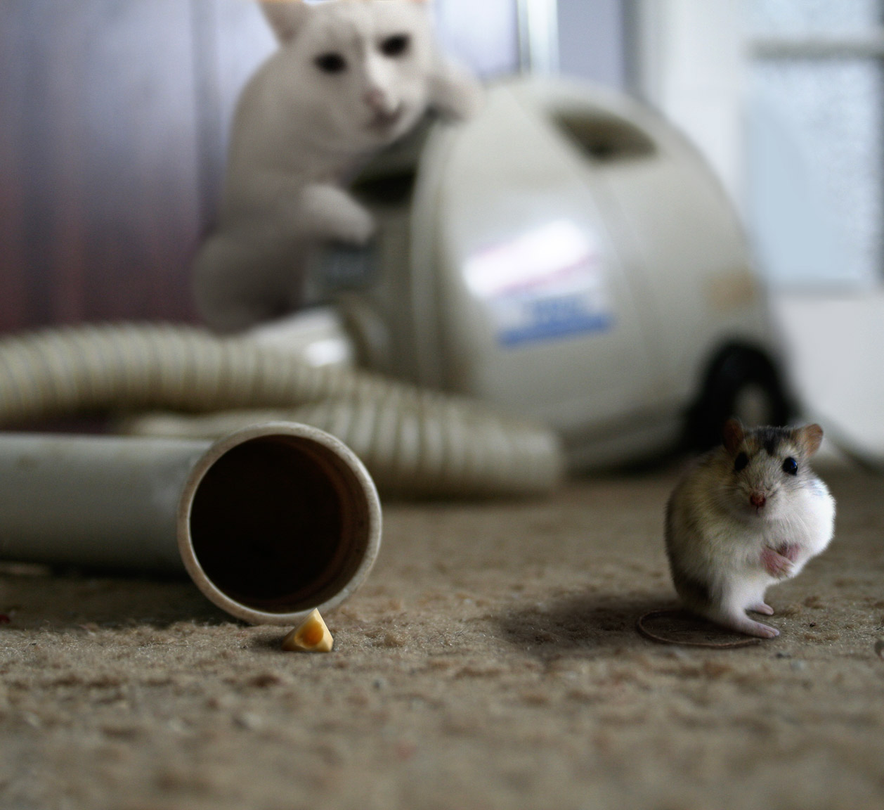 Diseño de Photoshop por Budmiester para DesignCrowd (Community Contests) | Diseño #9023454