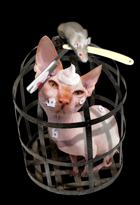 Photoshop Design by imagarth for DesignCrowd (Community Contests) | Design #9023615