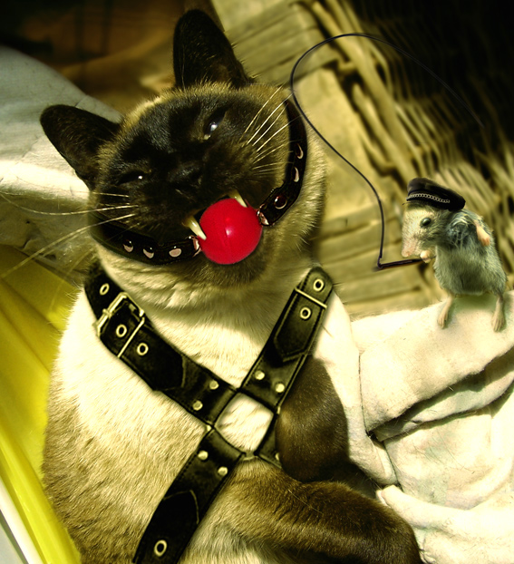 Diseño de Photoshop por guitarbastard para DesignCrowd (Community Contests) | Diseño #9023601