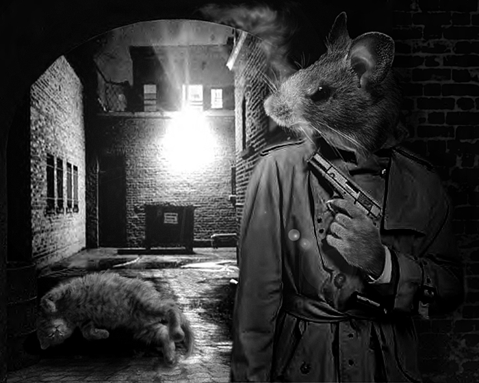 Photoshop-Design von Ghostgecko für DesignCrowd (Community Contests) | Design #9023596