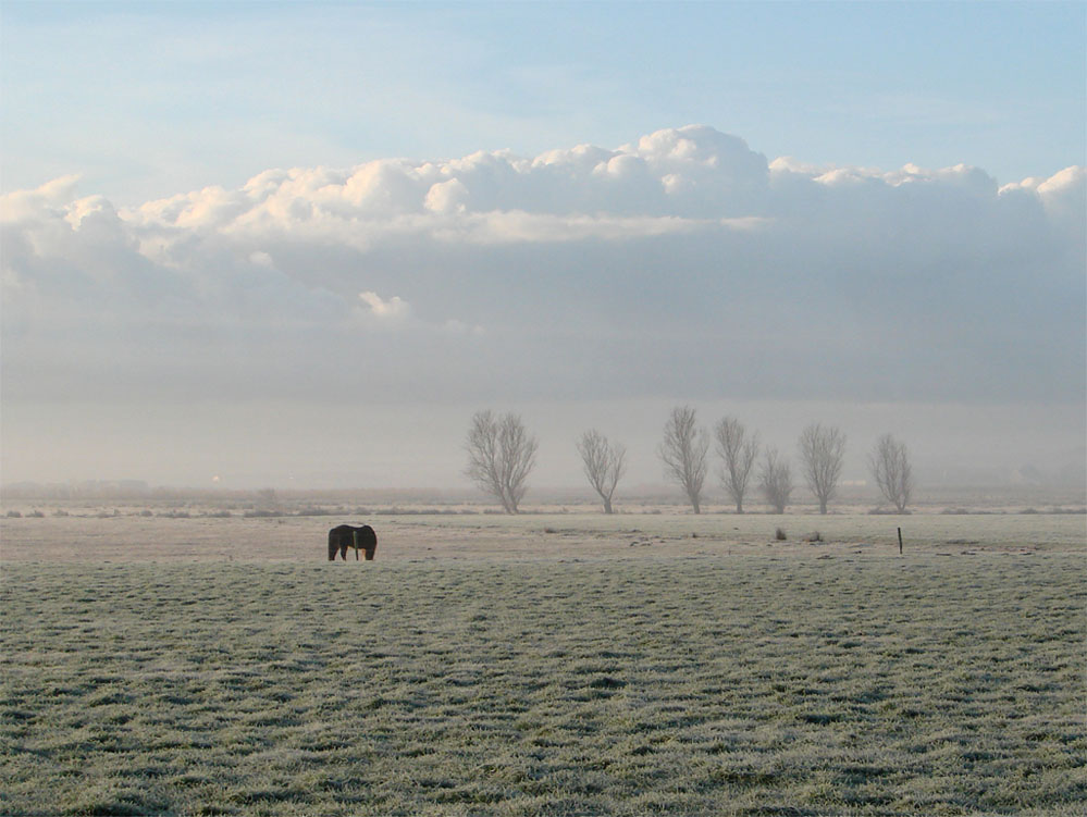 Photography by Jaap54 for DesignCrowd (Community Contests) | Design #9023137
