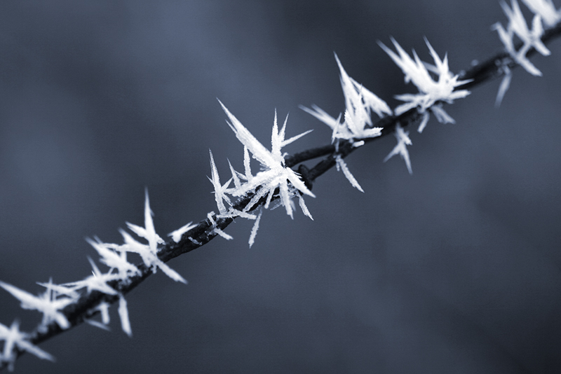 Photographie par ClintVideo pour DesignCrowd (Community Contests) | Design #9023121