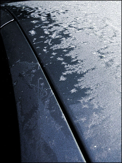 Photography by theLimeyBrit for DesignCrowd (Community Contests) | Design #9023095