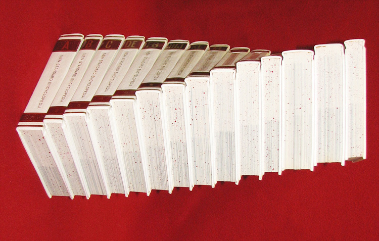 Photography by rickyticky22 for DesignCrowd (Community Contests) | Design #9023057