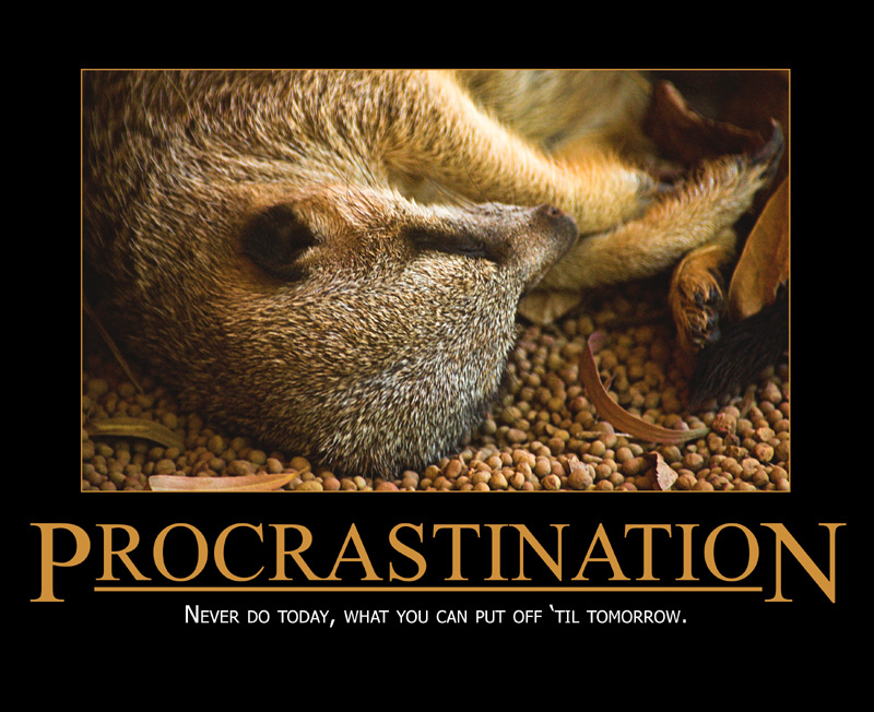 Photography by kimbomac for DesignCrowd (Community Contests) | Design #9025831