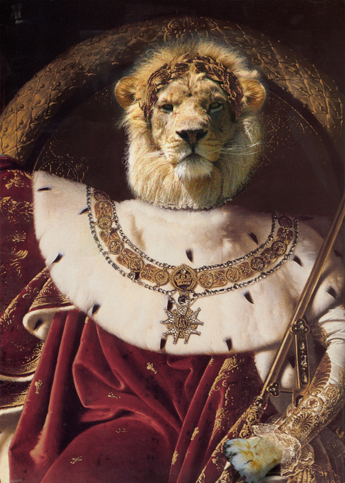 Photoshop Design by Sassydeb for DesignCrowd (Community Contests) | Design #9022702