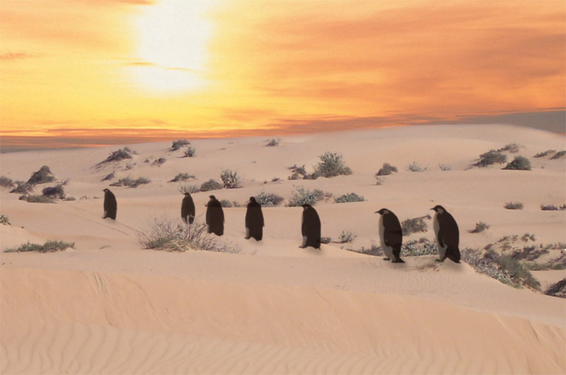 Photoshop Design by ootjuh for DesignCrowd (Community Contests) | Design #9019655