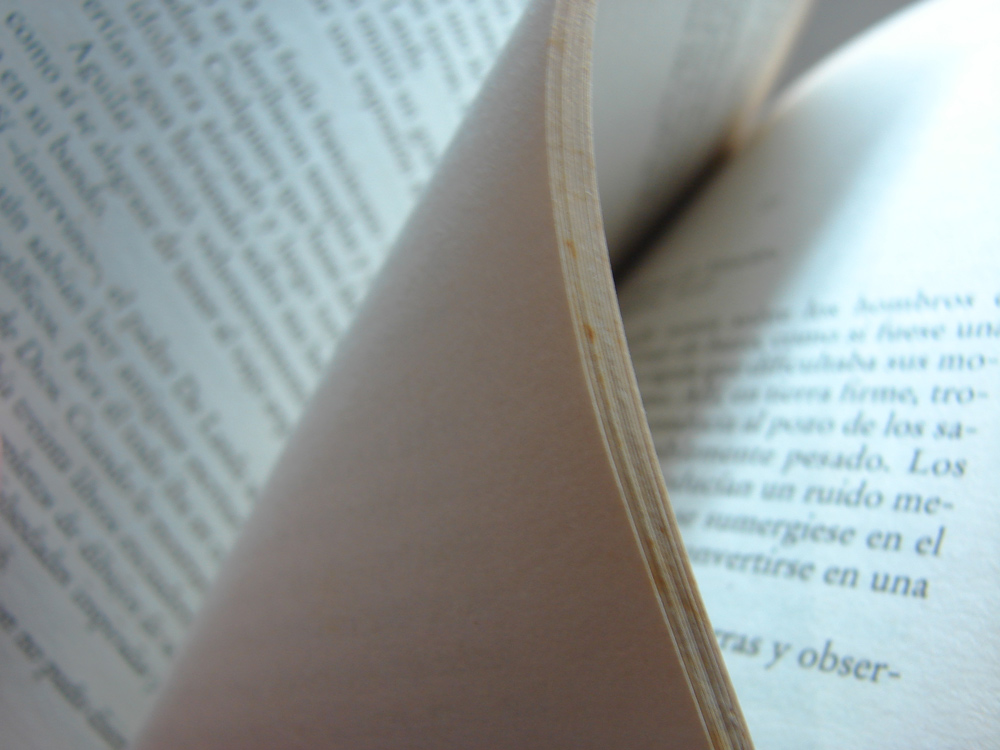 Fotografie von sebasfournier für DesignCrowd (Community Contests) | Design #9023087