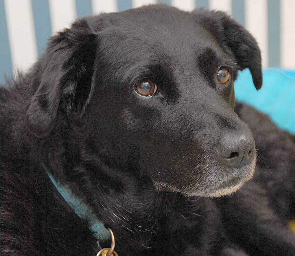 Photographie par gymp93 pour DesignCrowd (Community Contests) | Design #9019866