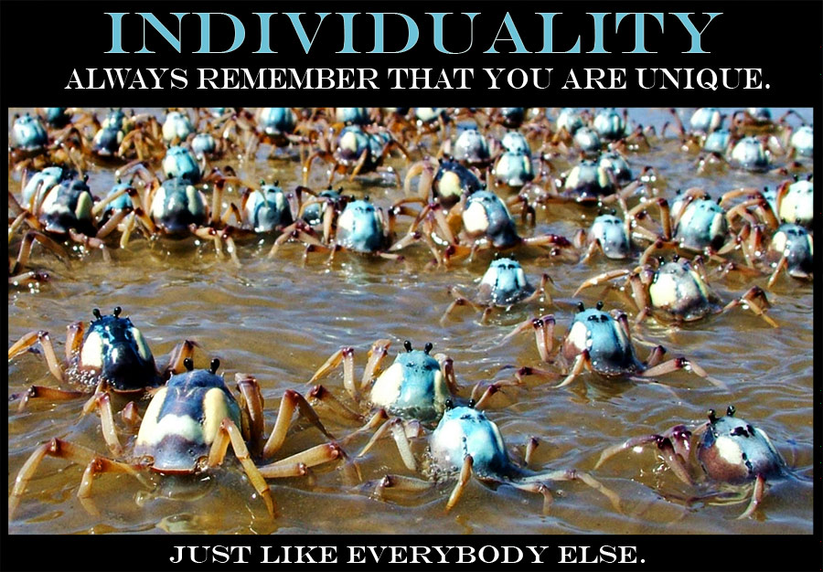 Photography by ozplasmic for DesignCrowd (Community Contests) | Design #9025878