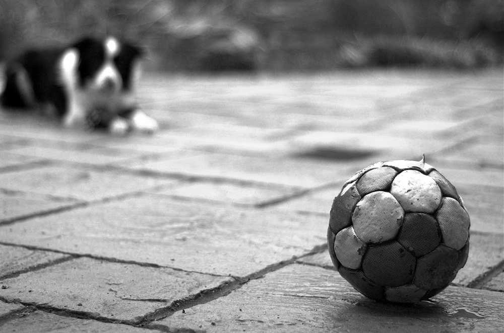 Photography by unit25 for DesignCrowd (Community Contests) | Design #9019896