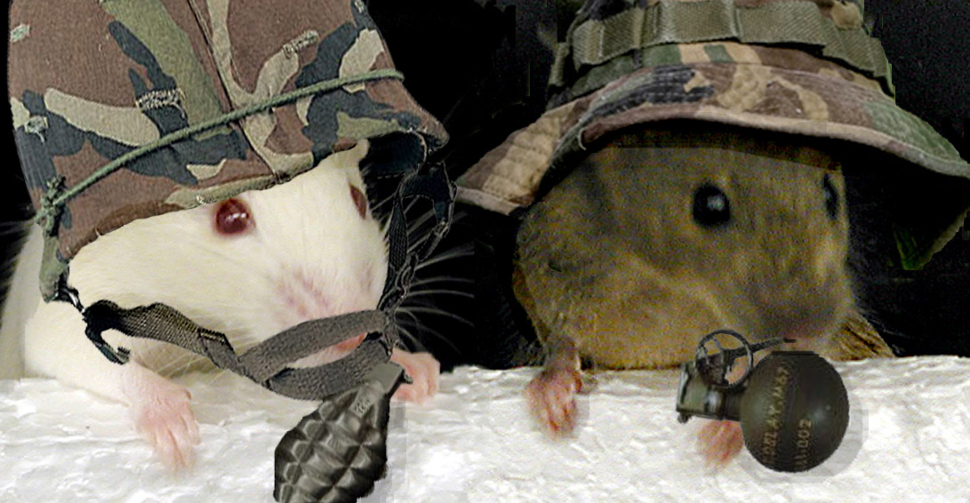 Photoshop Design by Gypzee for DesignCrowd (Community Contests) | Design #9018291