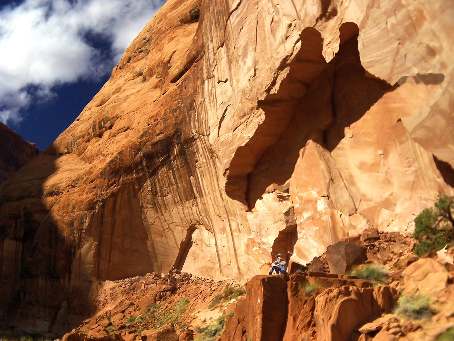 Design Photoshop par coretex pour DesignCrowd (Community Contests) | Design #9019822