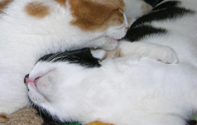 Photographie par cliknsnap pour DesignCrowd (Community Contests) | Design #9019937