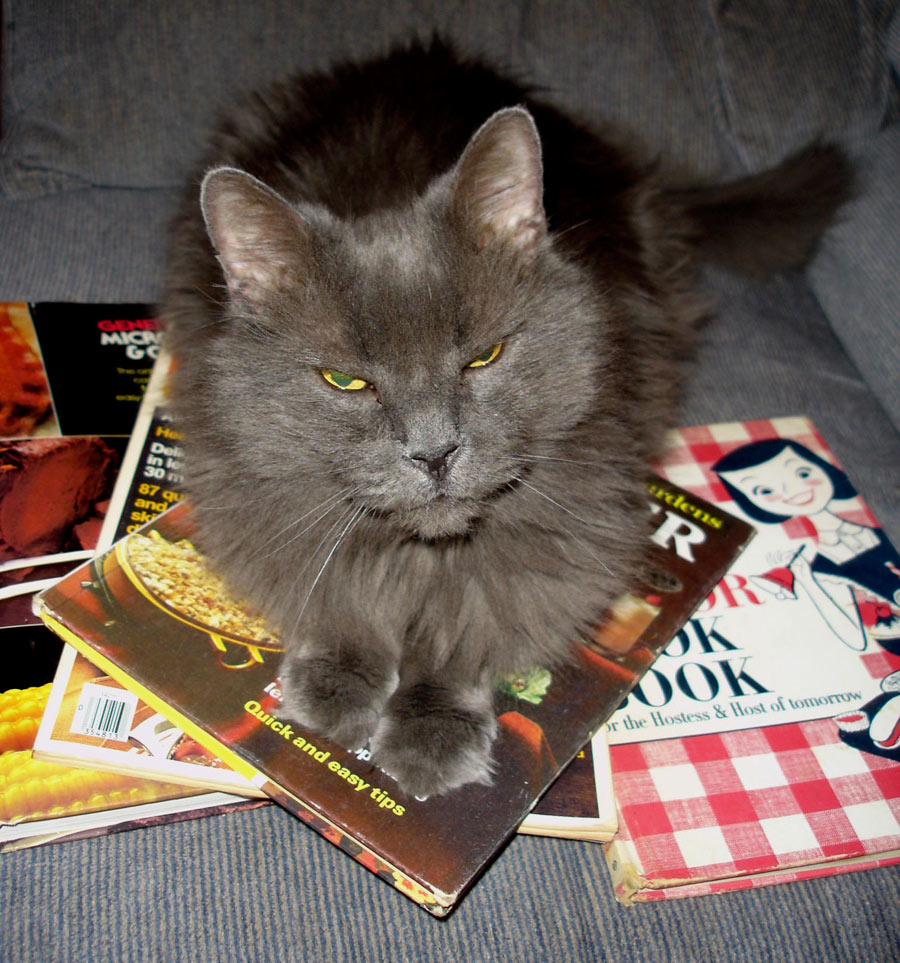 Photography by Spacejunk for DesignCrowd (Community Contests) | Design #9019924