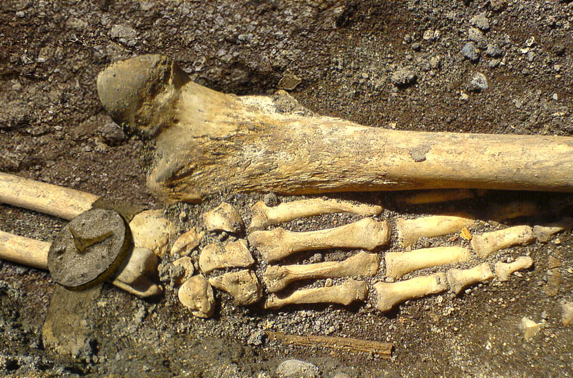 Photoshop Design by Armendo for DesignCrowd (Community Contests) | Design #9019829