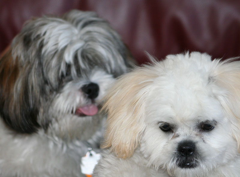 Photography by CheckMinus for DesignCrowd (Community Contests) | Design #9019920