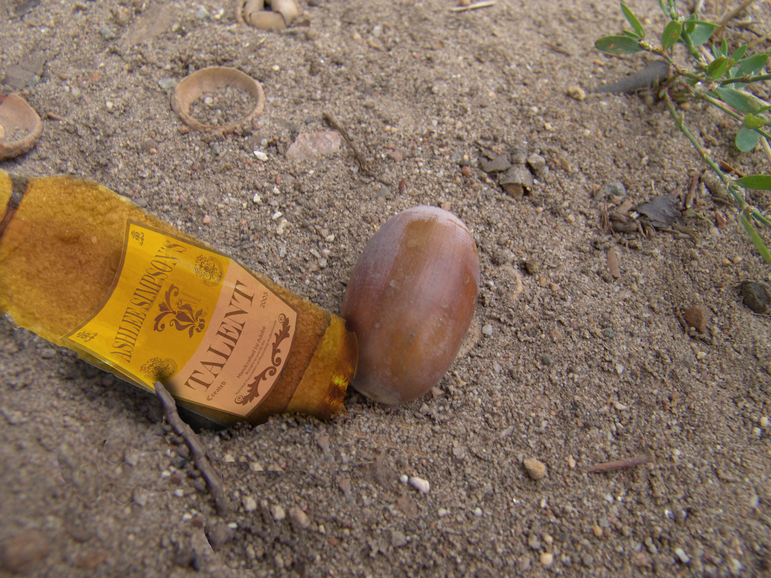 Photoshop Design by borrisownsyou for DesignCrowd (Community Contests) | Design #9019819