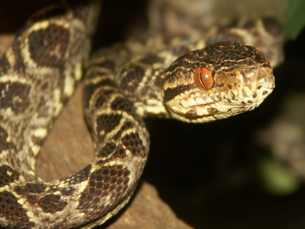 Fotografie von Rouwkema für DesignCrowd (Community Contests) | Design #9019983