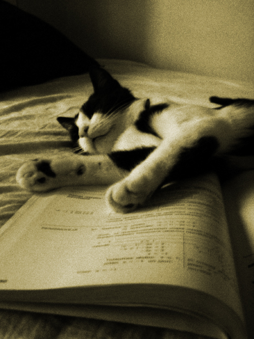 Photography by Tool47 for DesignCrowd (Community Contests) | Design #9020031