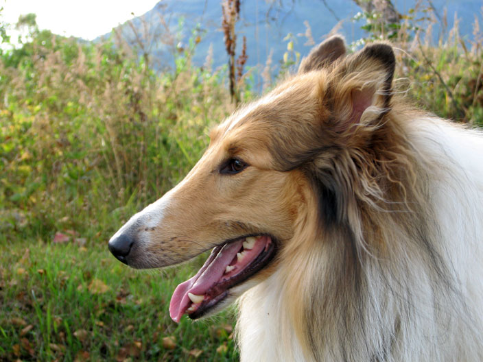 Photography by cstoel for DesignCrowd (Community Contests) | Design #9020005