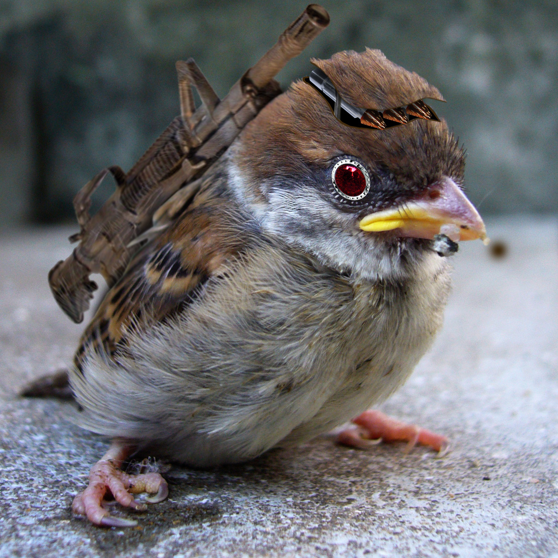 Design Photoshop par janhus pour DesignCrowd (Community Contests) | Design #9018412