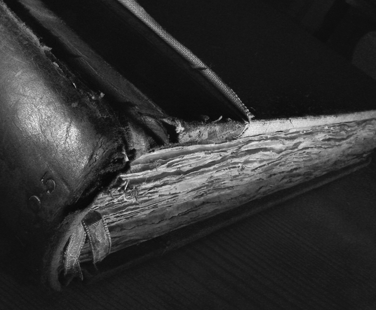 Photographie par chilledcoder pour DesignCrowd (Community Contests) | Design #9023127