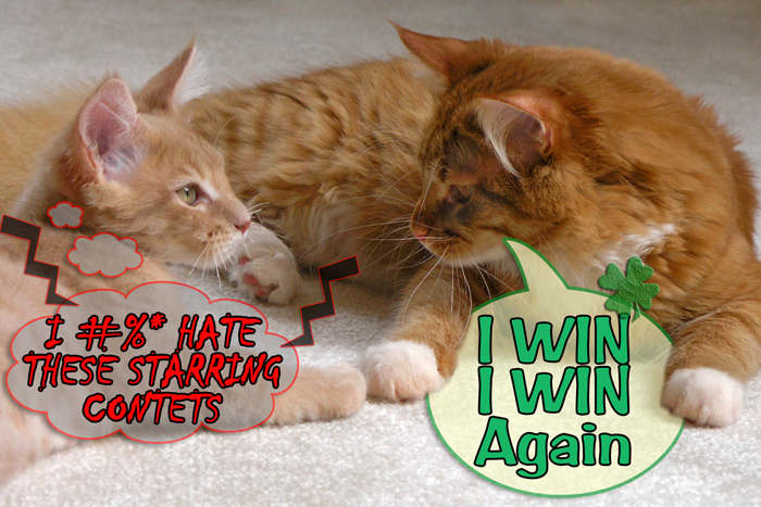 Photoshop Design by LABRIP for DesignCrowd (Community Contests) | Design #9028035